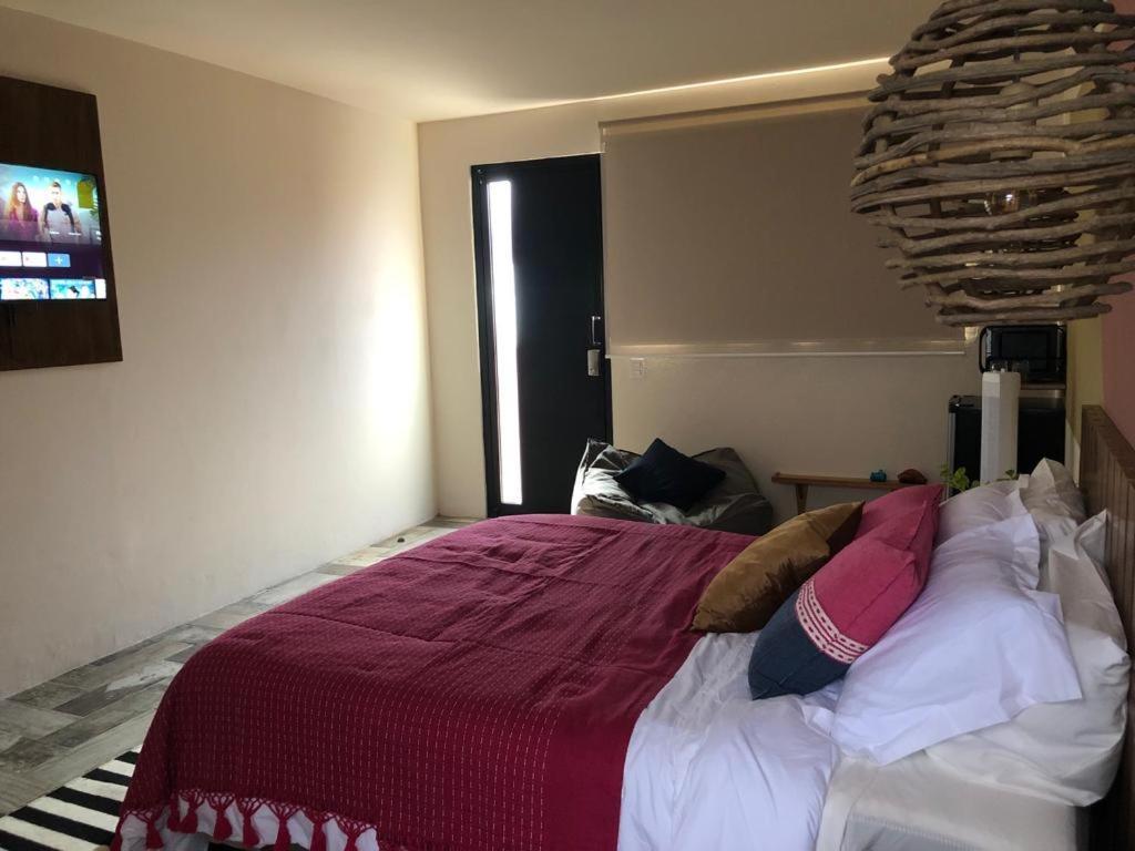 오아하카주 Casa Cronica 아파트 외부 사진